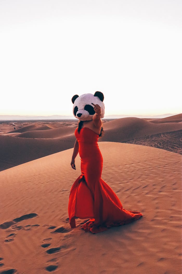 A woman in a red dress and panda head stands in a sunlit desert, creating a surreal scene.